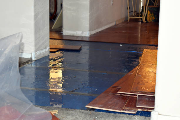 Professional Burst Pipe Cleanup technician working in Gasquet, CA